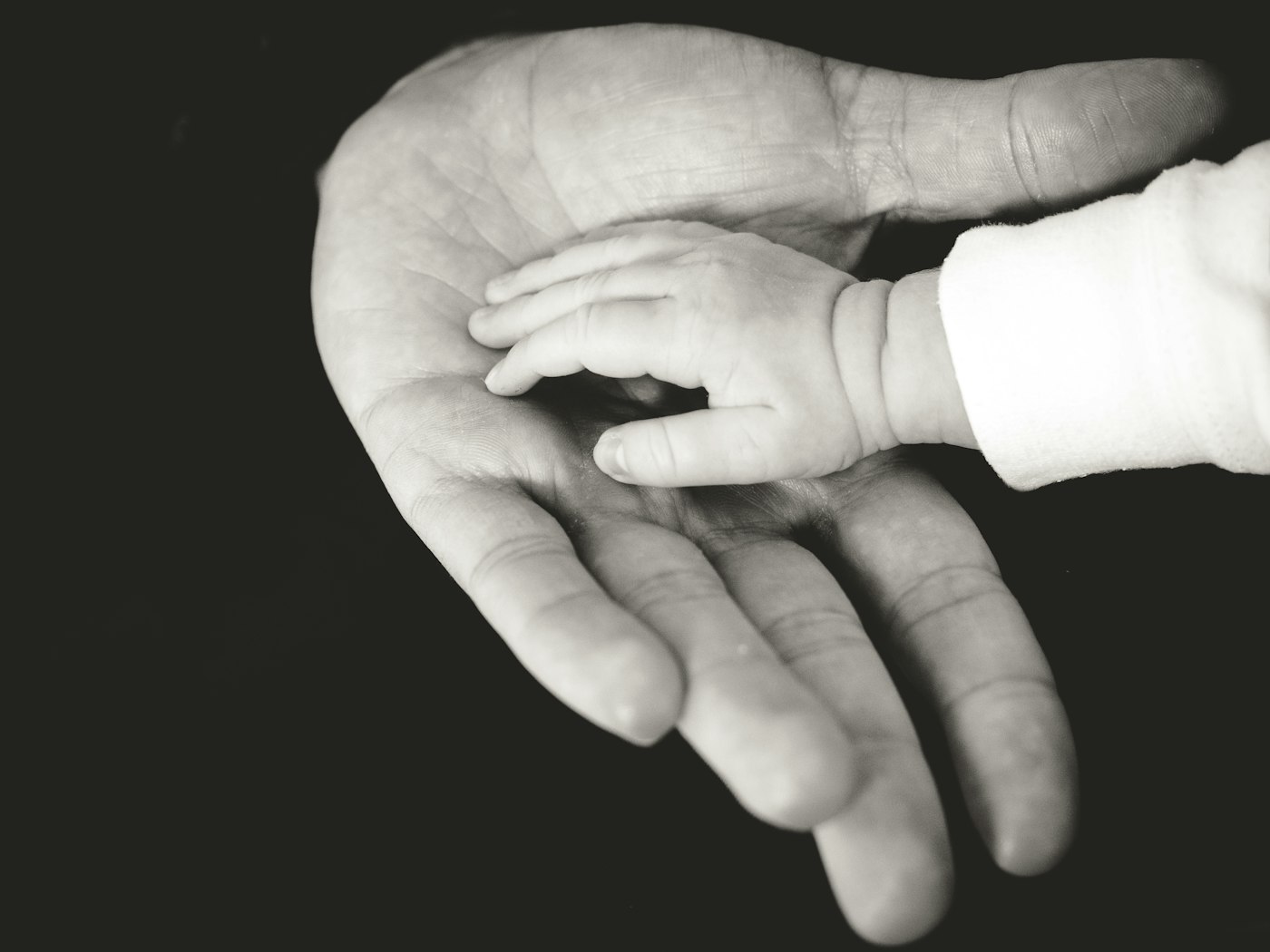 La petite main d un bébé posée dans la paume ouverte d un adulte